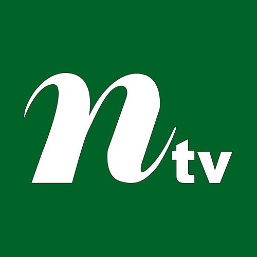 Feature Editor at NTV